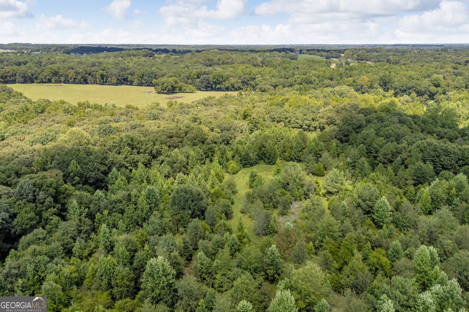 3894 Bowersville Highway Bowersville - Photo 38