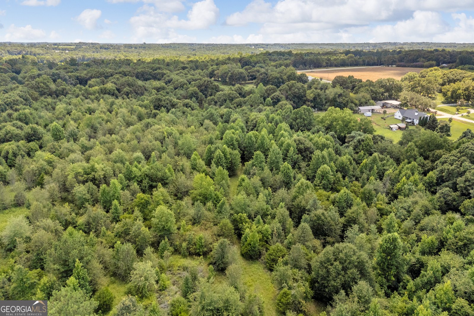 3894 Bowersville Highway Bowersville - Photo 39