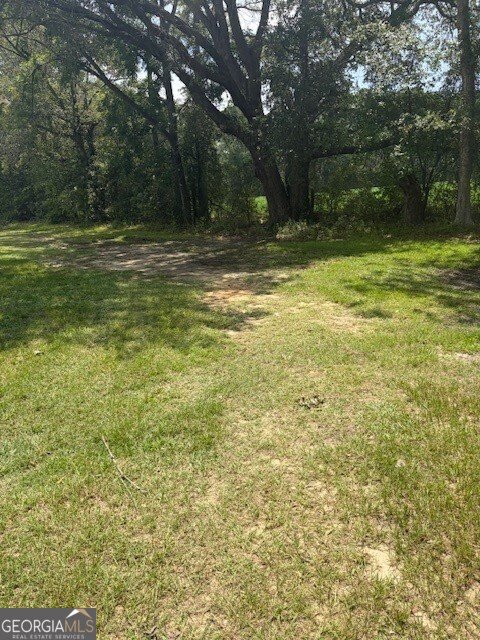 627 Milton Glisson Road Claxton - Photo 11