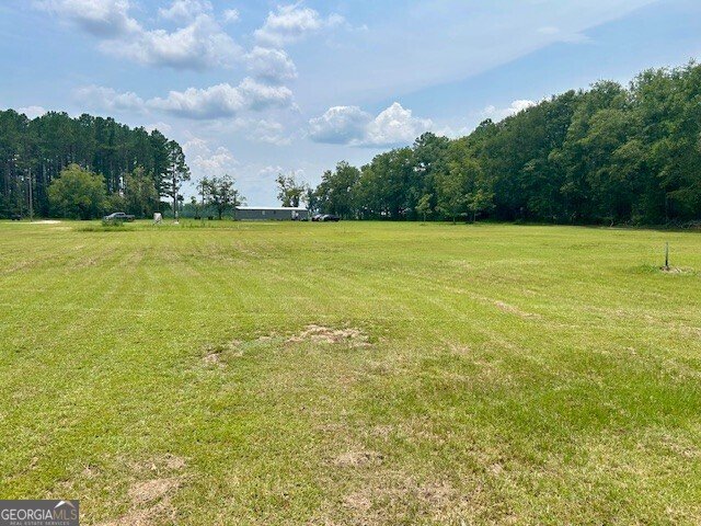 627 Milton Glisson Road Claxton - Photo 7