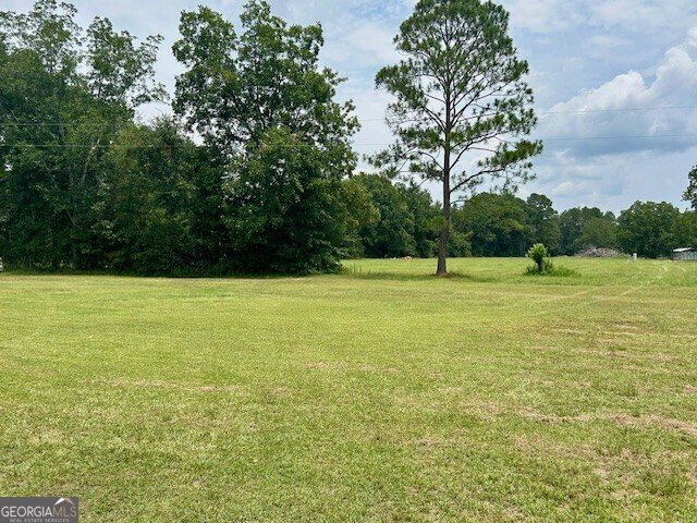 627 Milton Glisson Road Claxton - Photo 9