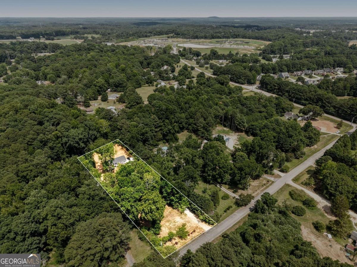 1231 Bunny Court Loganville - Photo 46