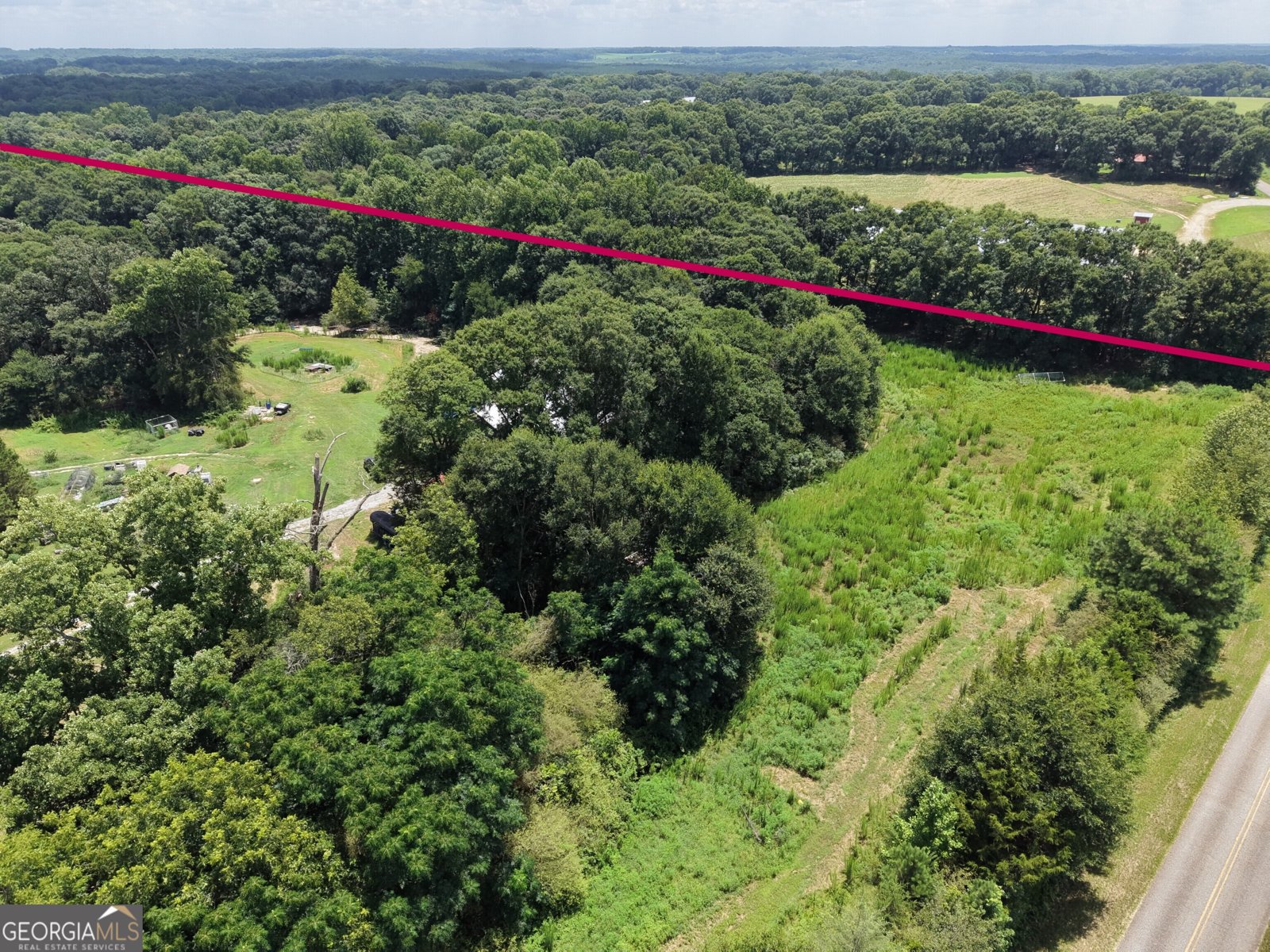 2170 Fork Creek Road Bowman - Photo 13