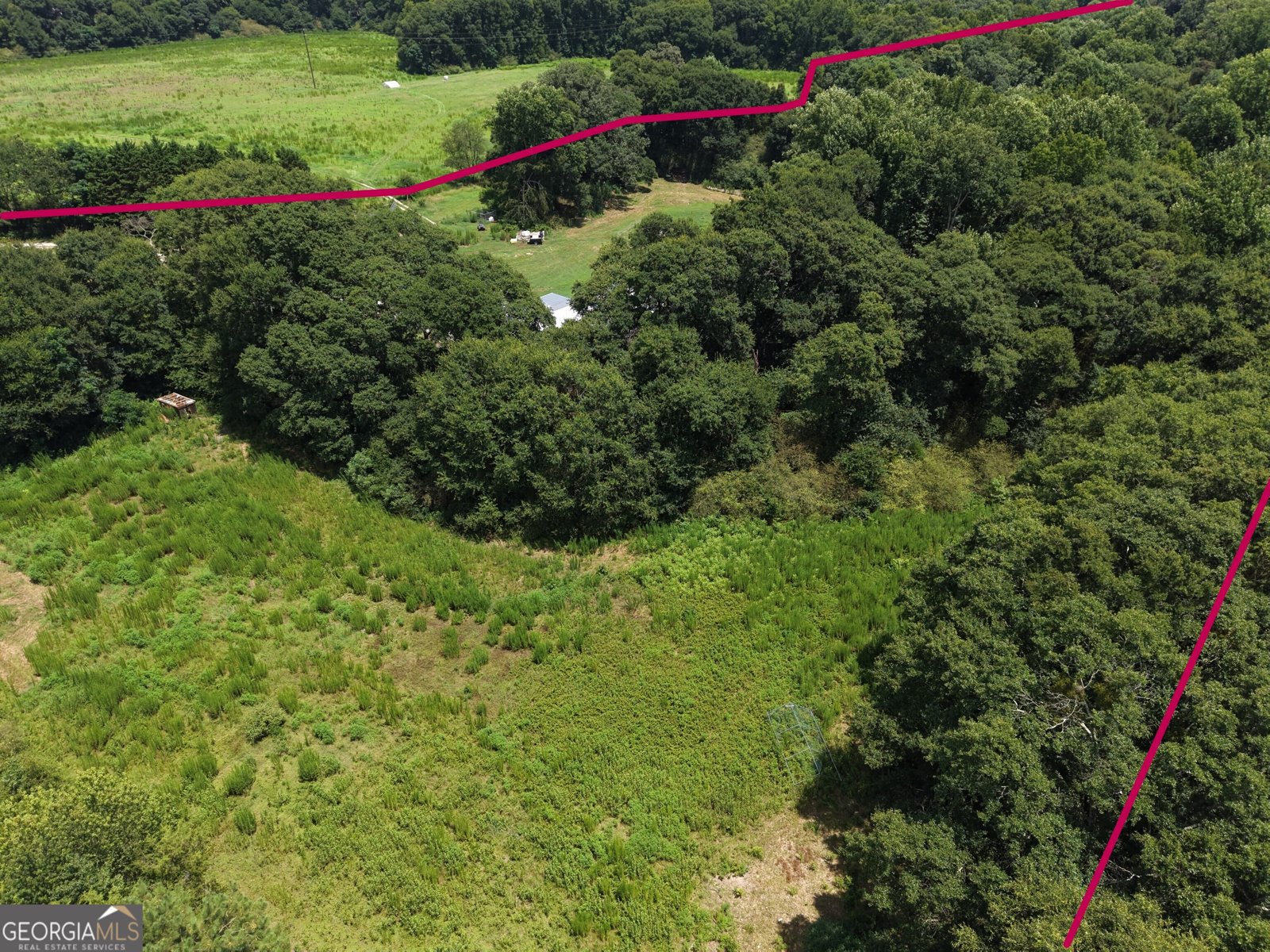 2170 Fork Creek Road Bowman - Photo 14