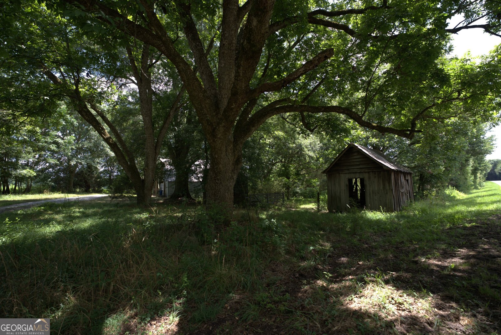 2170 Fork Creek Road Bowman - Photo 19