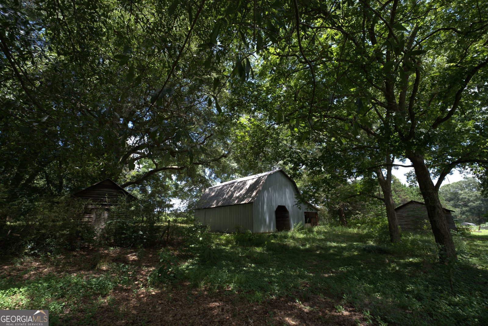 2170 Fork Creek Road Bowman - Photo 20