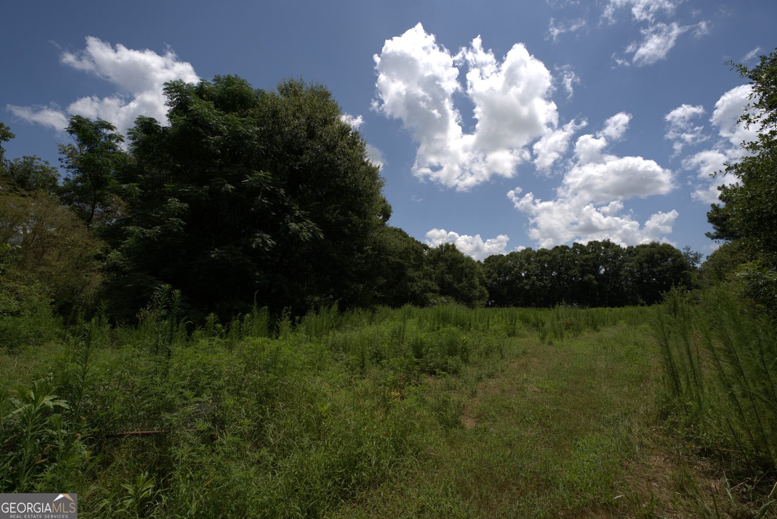 2170 Fork Creek Road Bowman - Photo 21