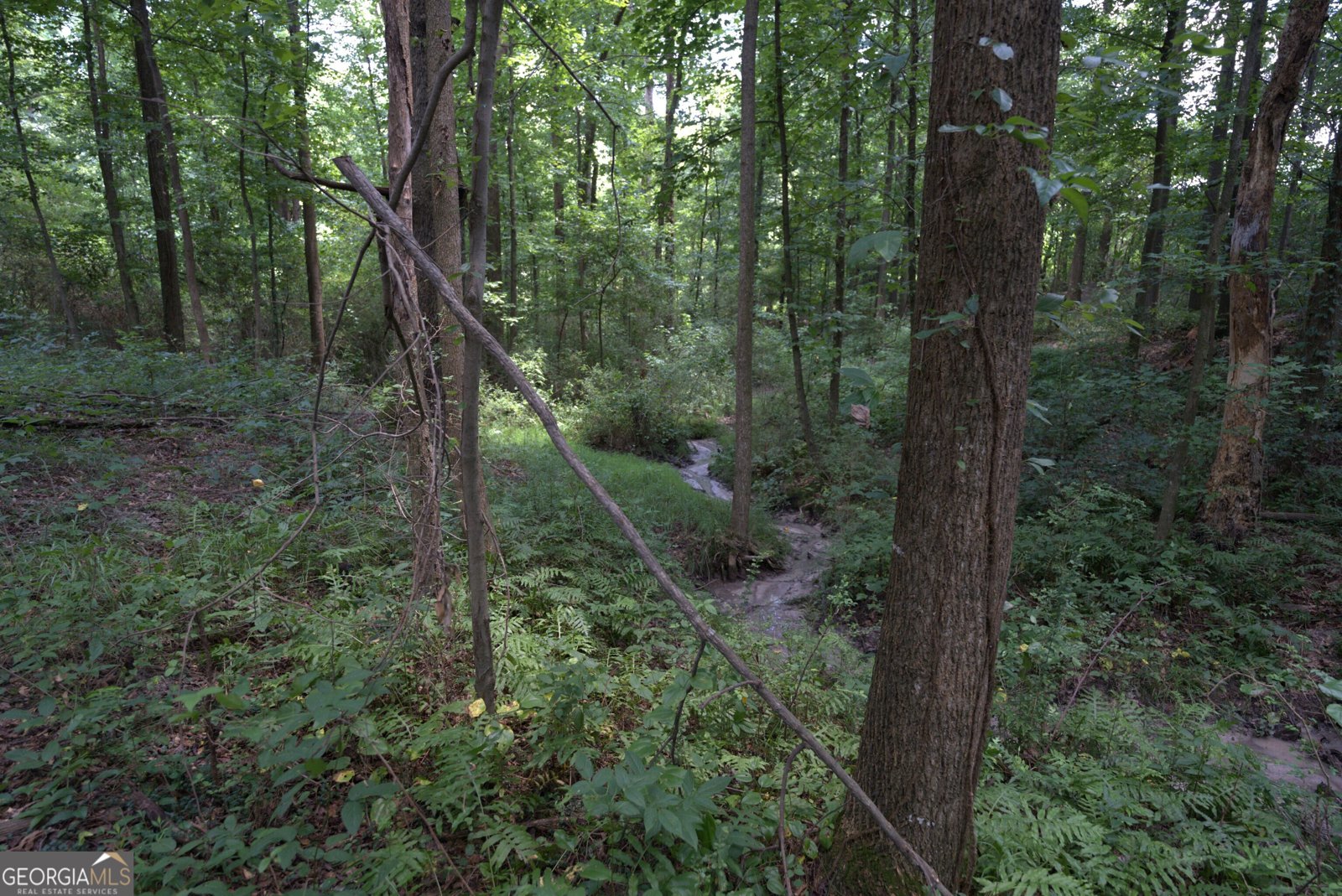 2170 Fork Creek Road Bowman - Photo 29