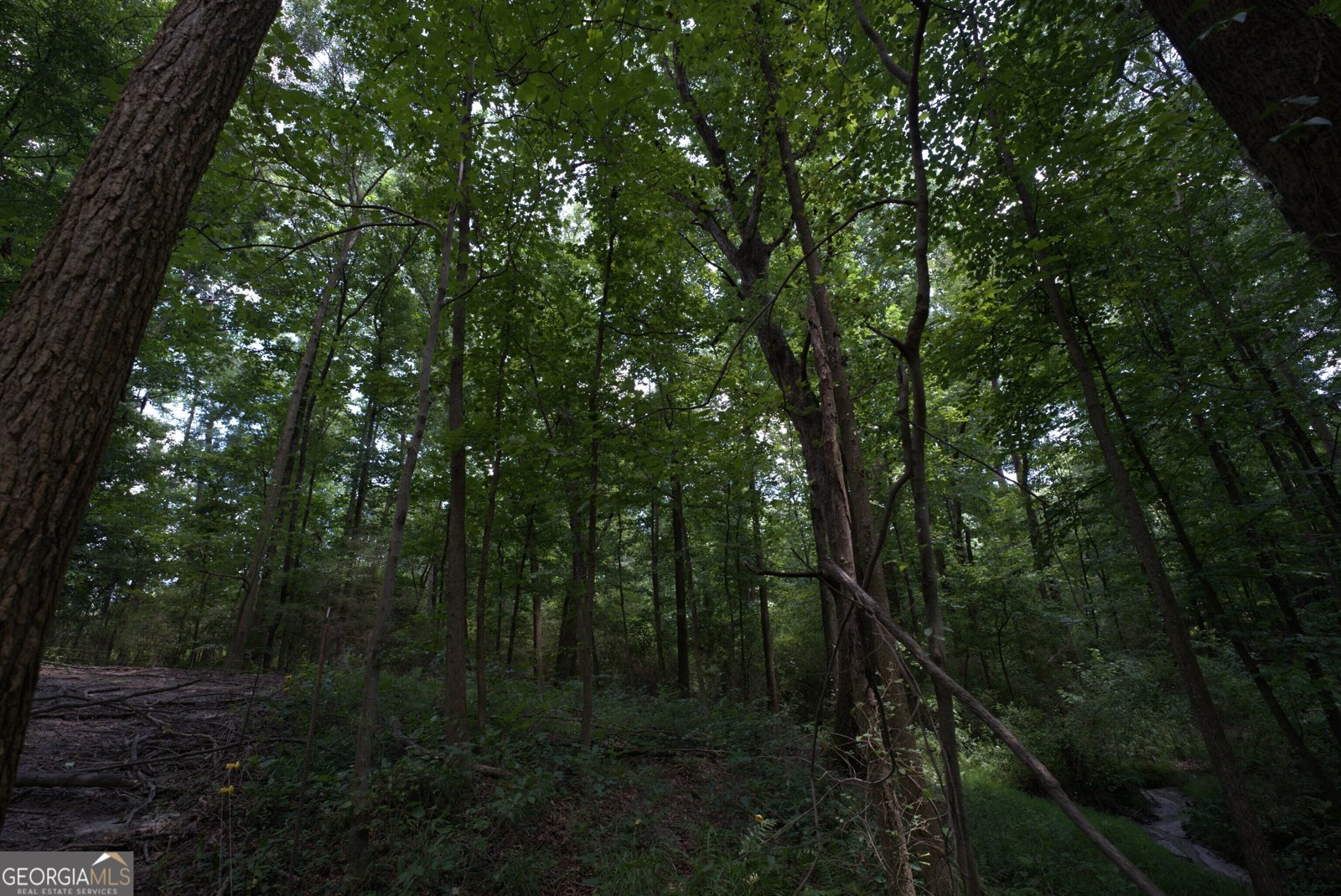 2170 Fork Creek Road Bowman - Photo 30