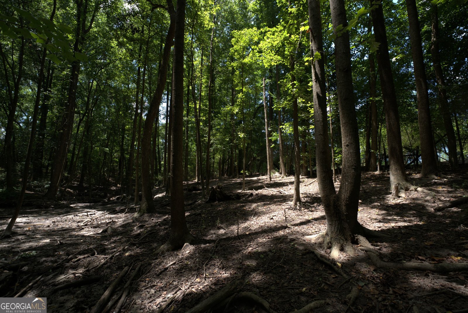 2170 Fork Creek Road Bowman - Photo 31
