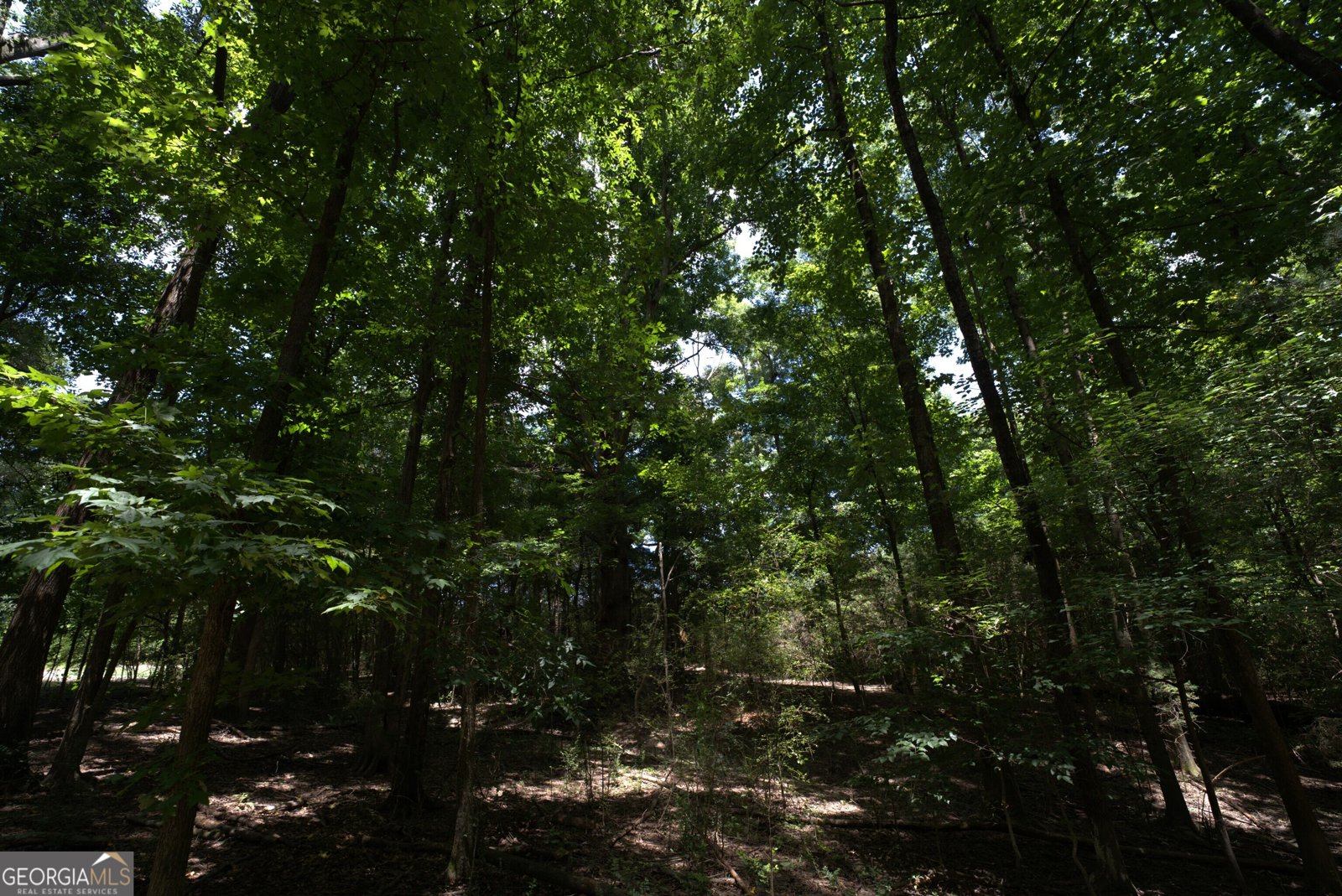 2170 Fork Creek Road Bowman - Photo 32