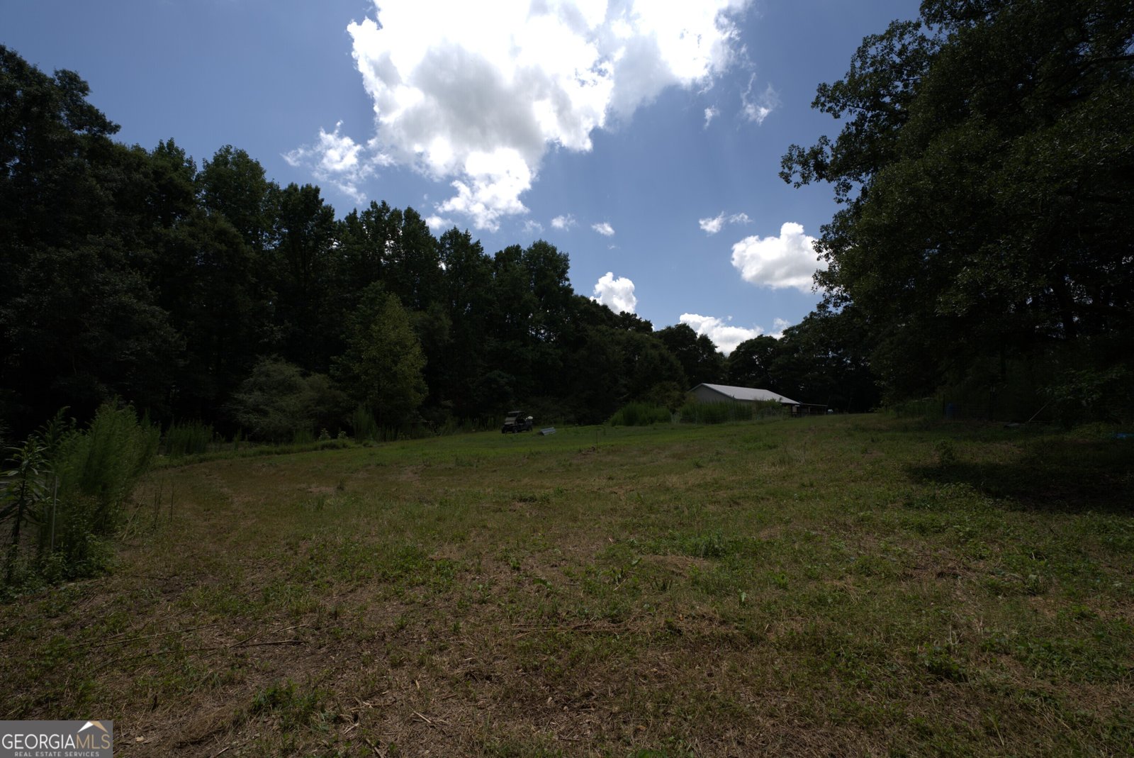 2170 Fork Creek Road Bowman - Photo 33
