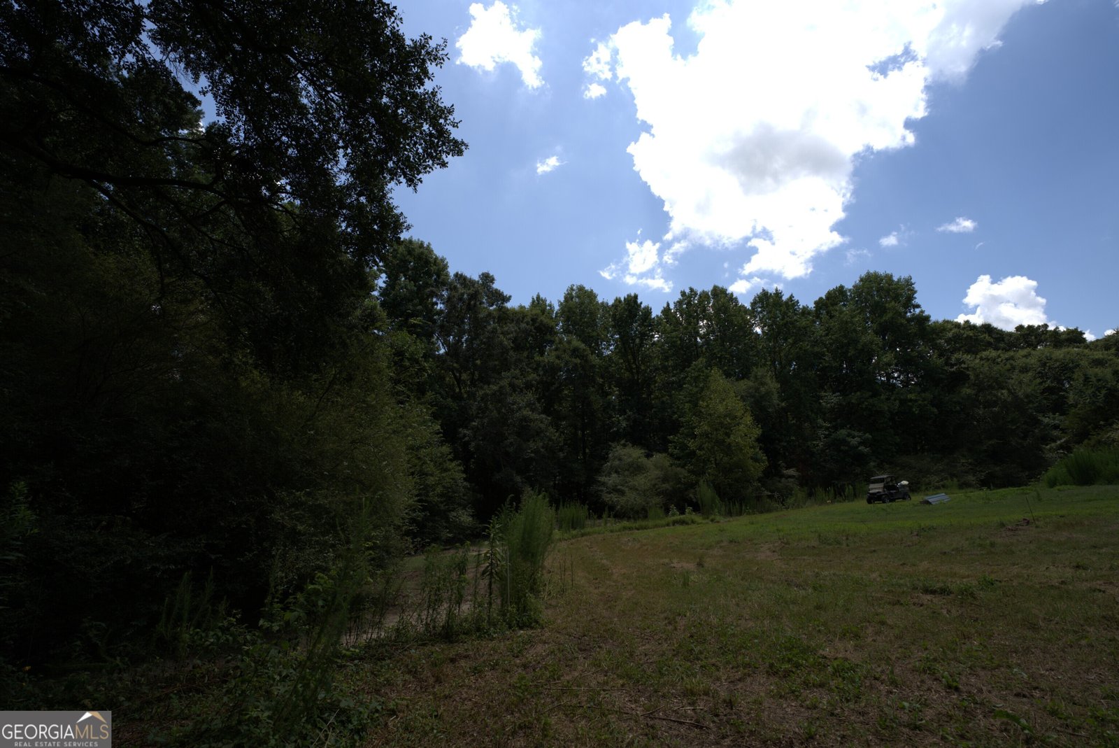 2170 Fork Creek Road Bowman - Photo 34
