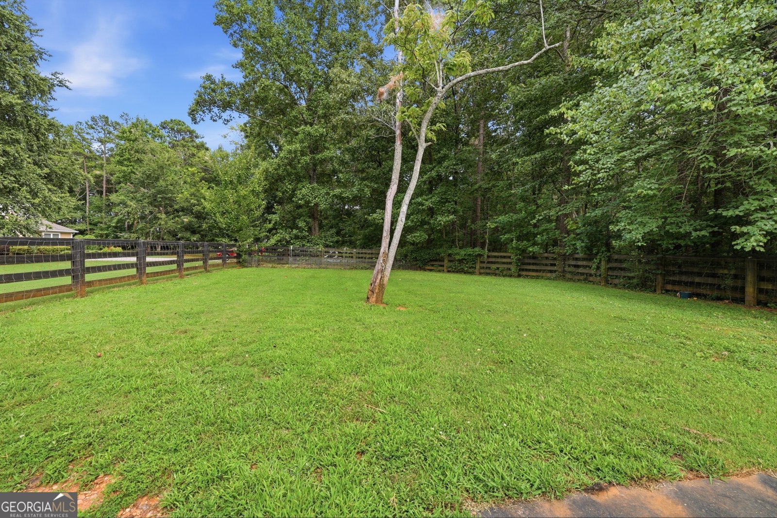 357 Birchwood Drive Clarkesville - Photo 75