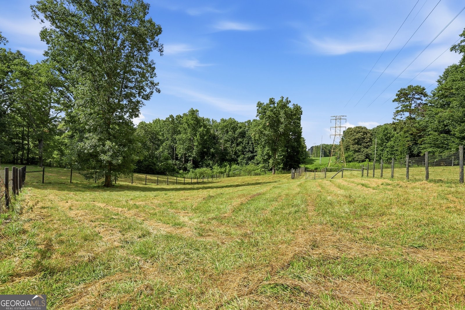 357 Birchwood Drive Clarkesville - Photo 79