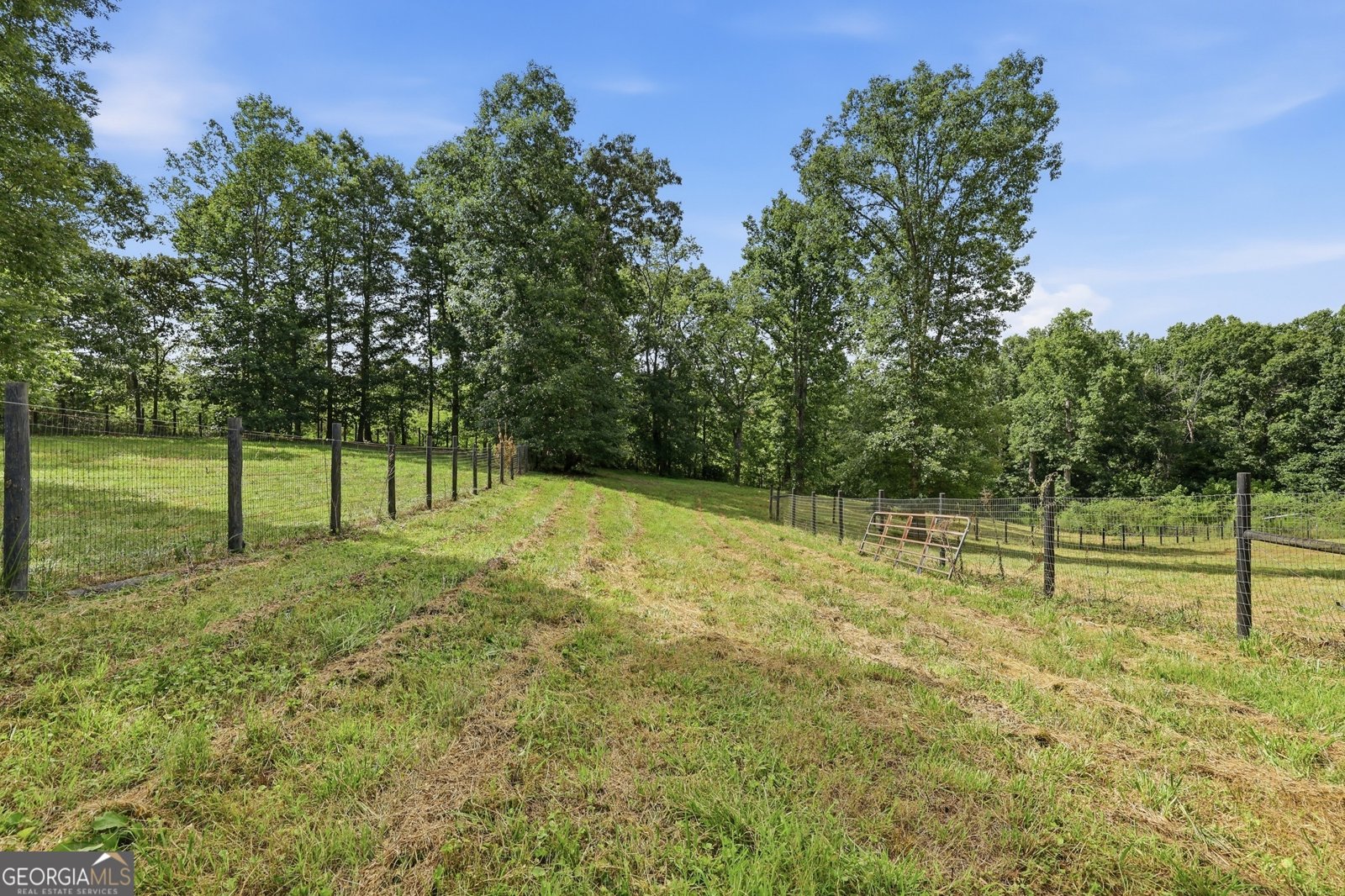 357 Birchwood Drive Clarkesville - Photo 80