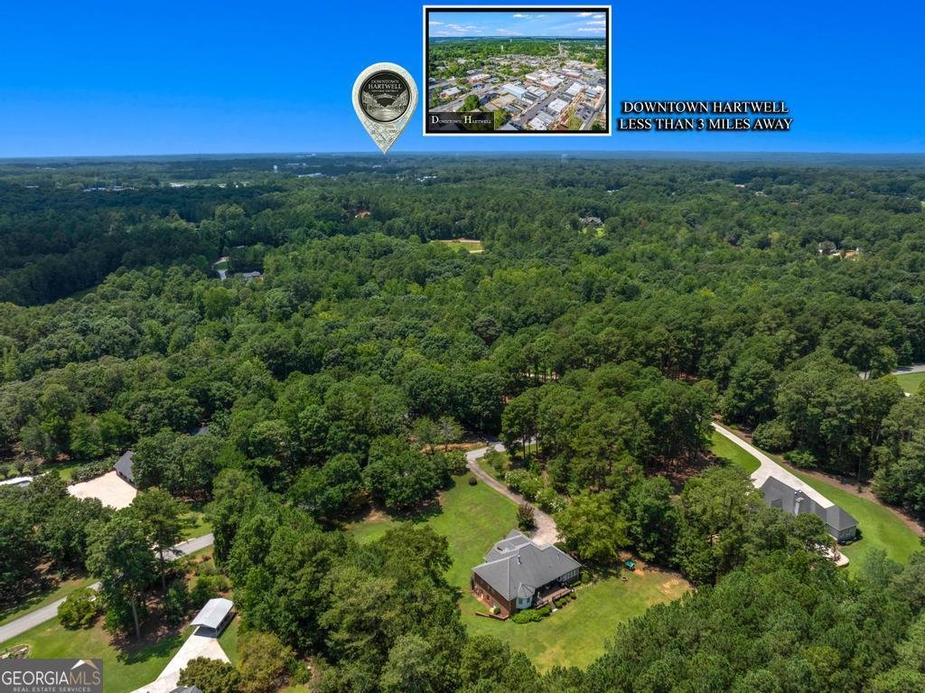 685 Melody Lane Hartwell - Photo 44