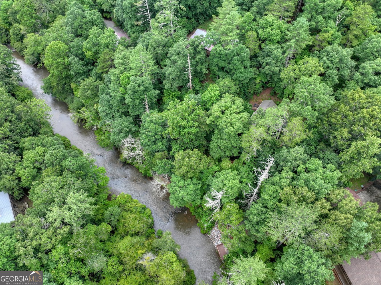 279 Riverview Lane Ellijay - Photo 53