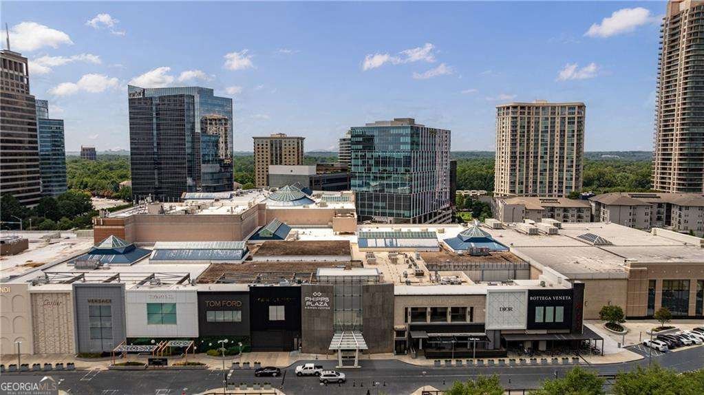 3324 Peachtree Road Atlanta - Photo 48