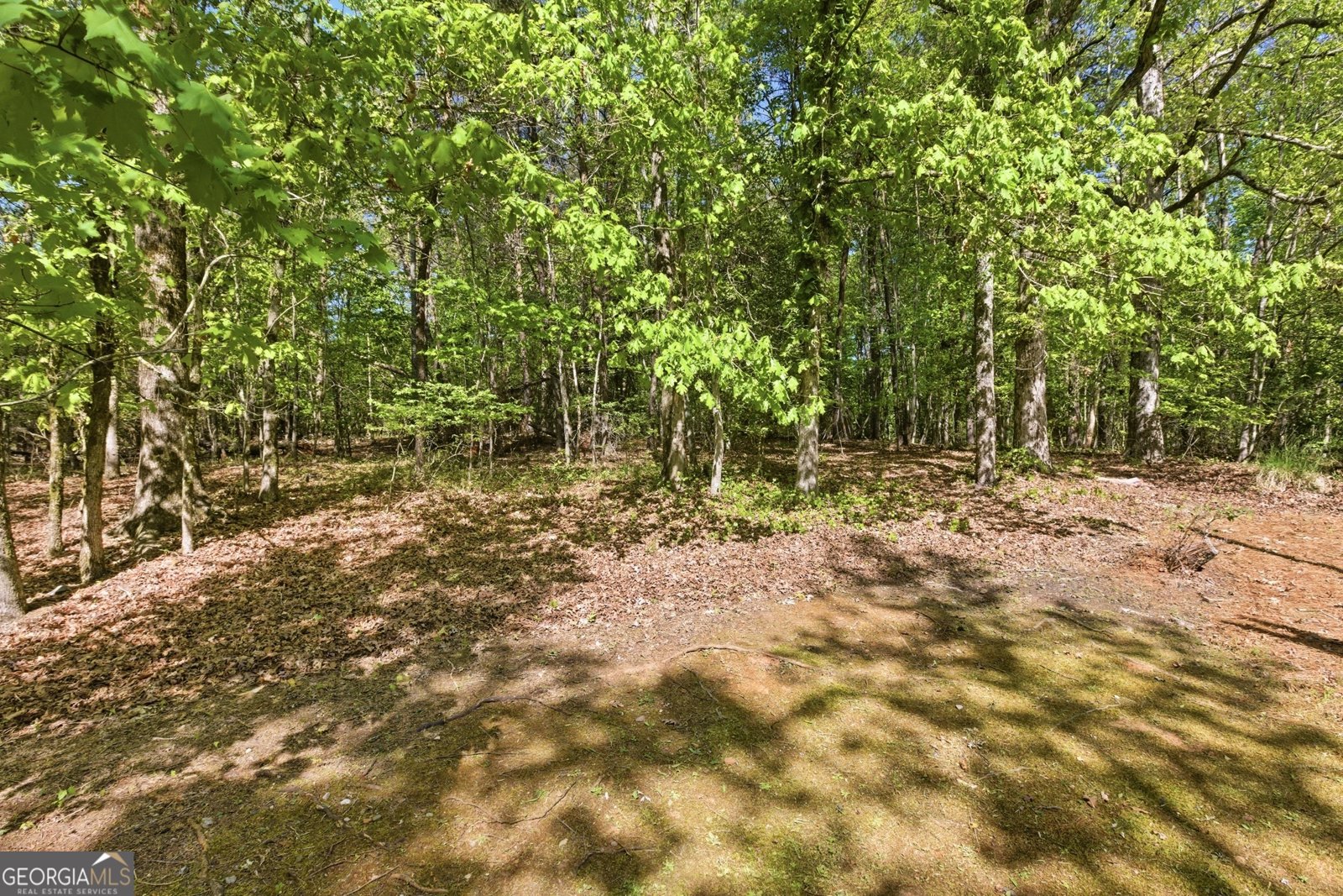 325 Blue Creek Cove Cleveland - Photo 43