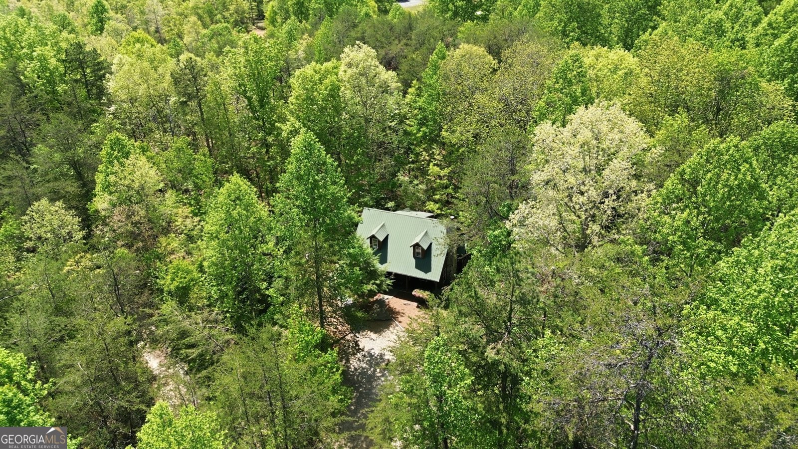 325 Blue Creek Cove Cleveland - Photo 46