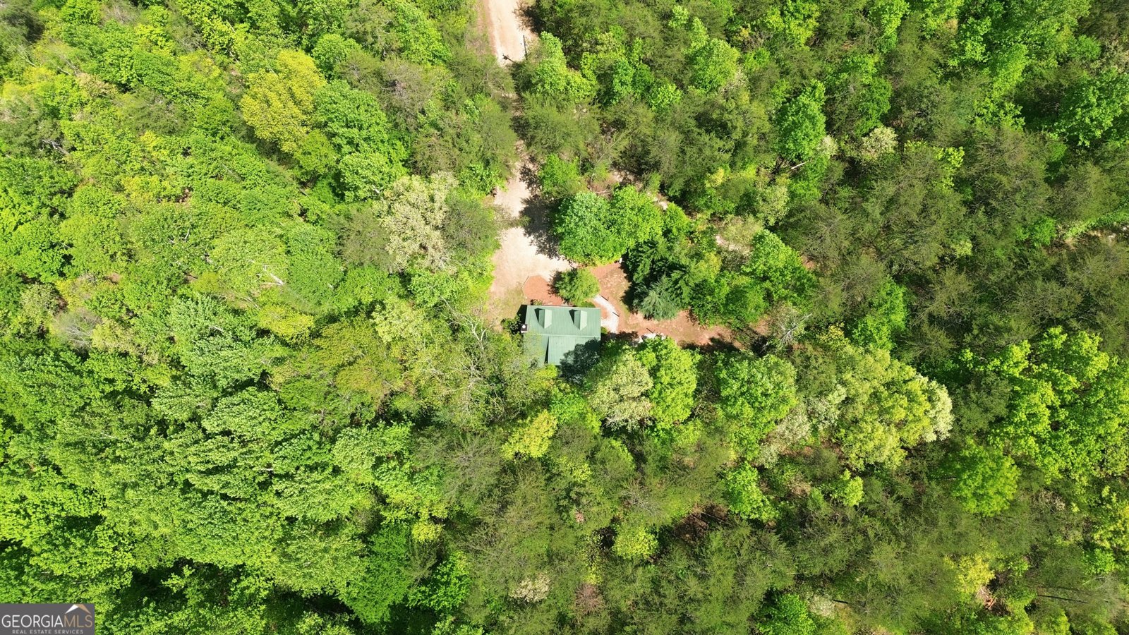 325 Blue Creek Cove Cleveland - Photo 47