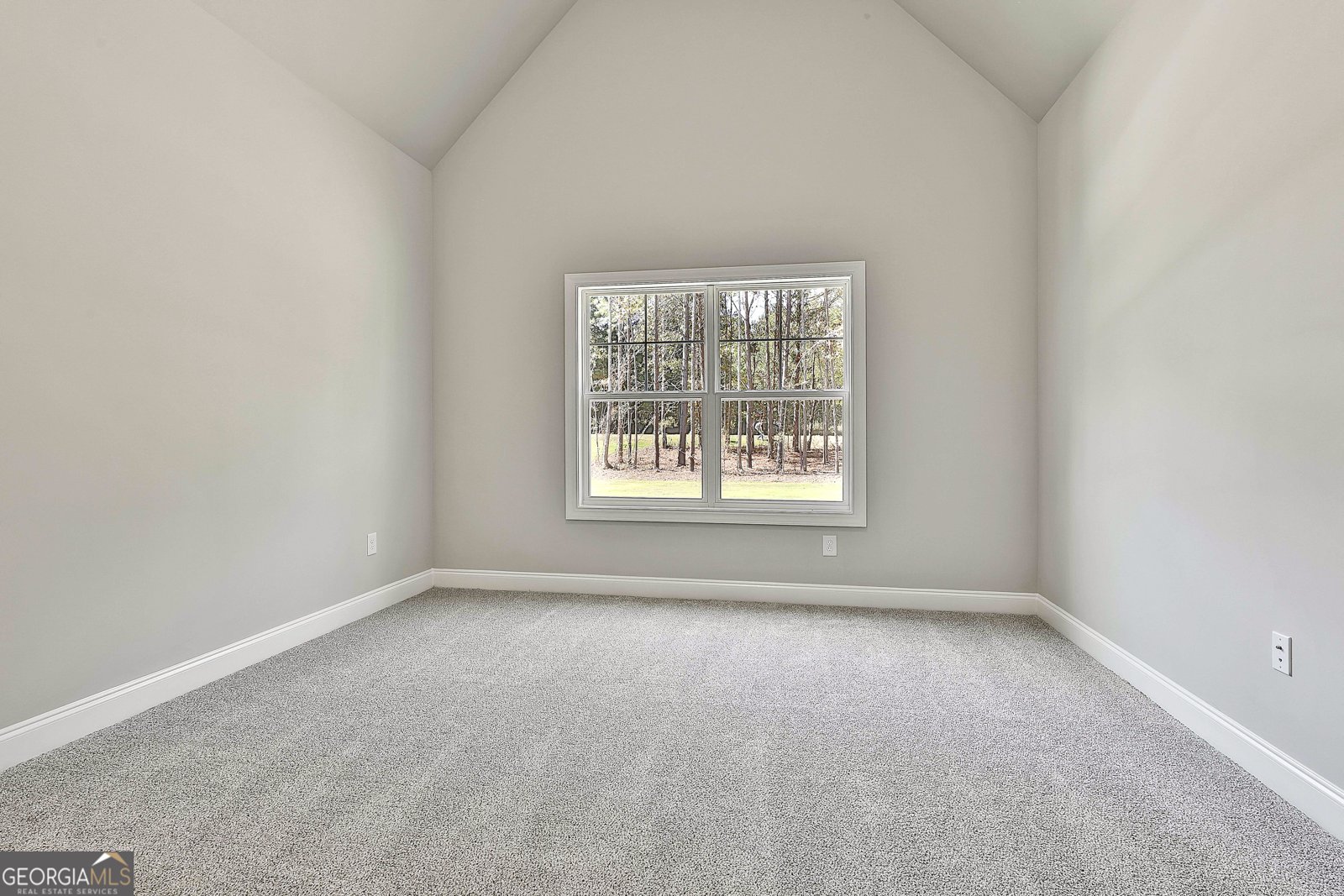 779 Alex Stephens Road Moreland - Photo 36