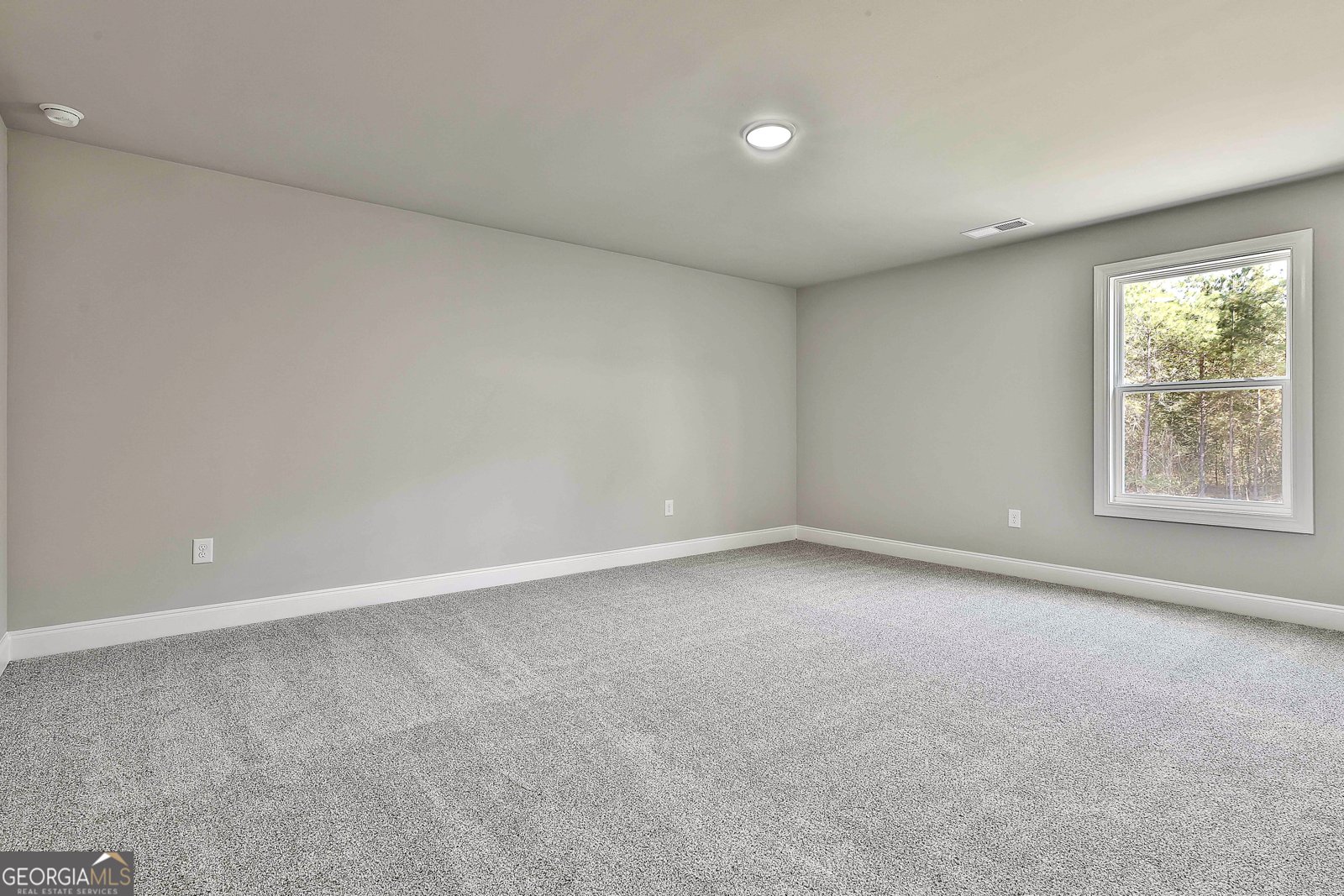 779 Alex Stephens Road Moreland - Photo 40