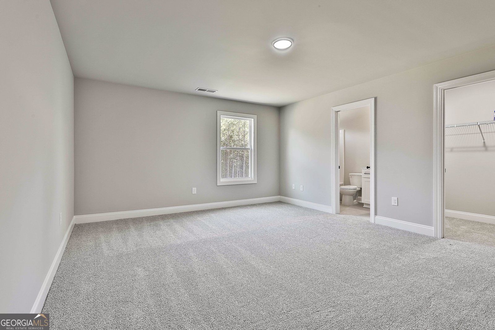 779 Alex Stephens Road Moreland - Photo 41