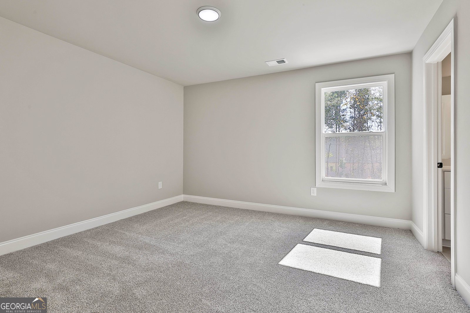 779 Alex Stephens Road Moreland - Photo 43