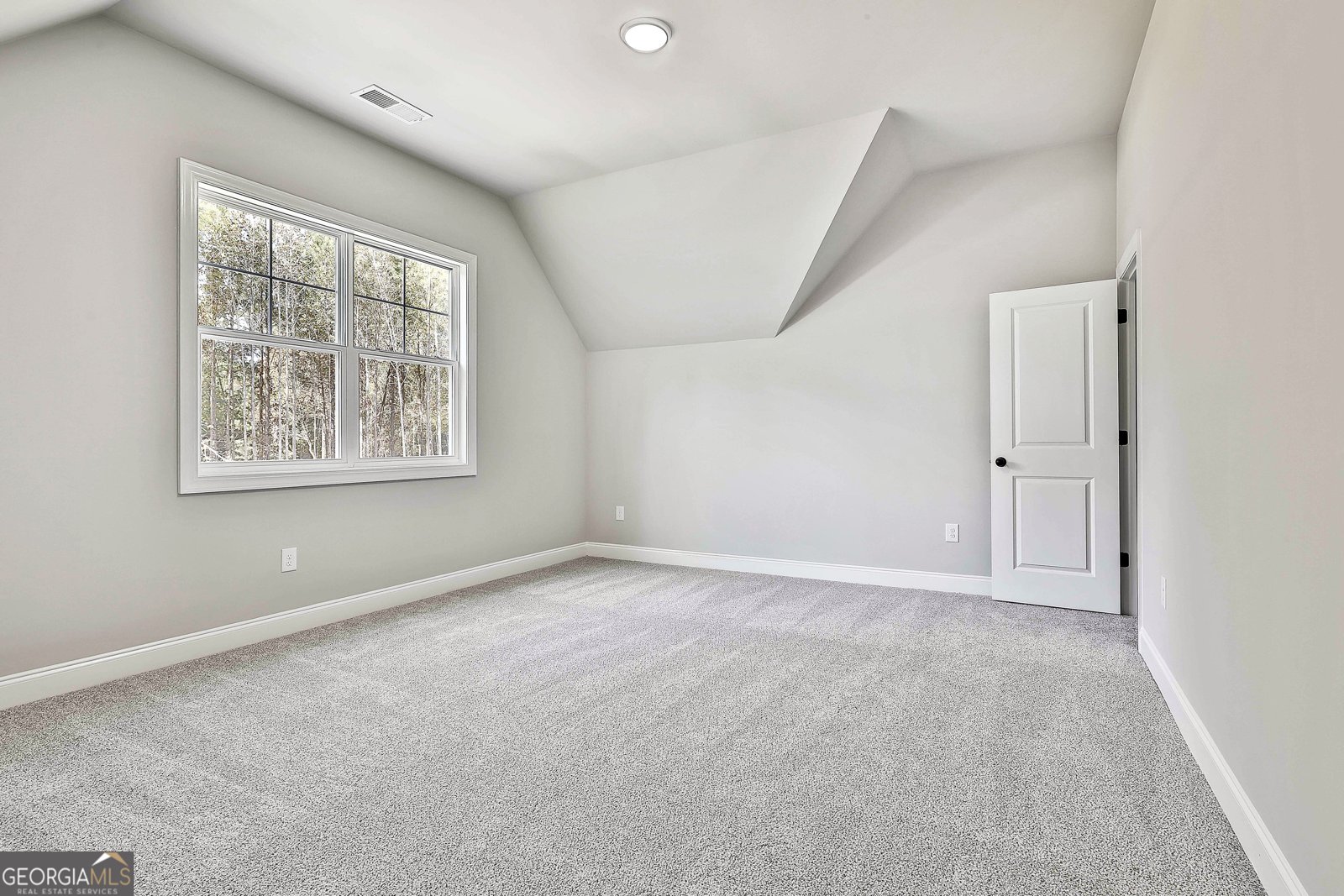 779 Alex Stephens Road Moreland - Photo 46