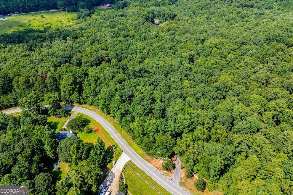 1001 Herrell Road Villa Rica - Photo 101