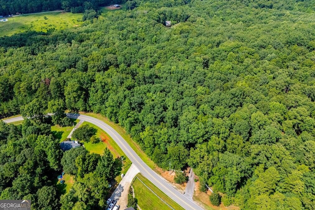 1001 Herrell Road Villa Rica - Photo 121