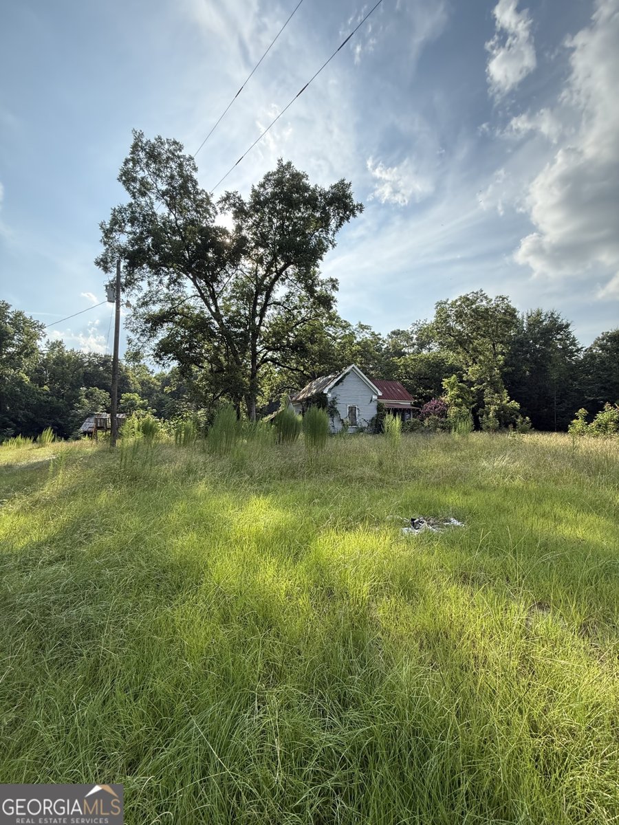 1007 Pleasant Grove Road Sandersville - main photo