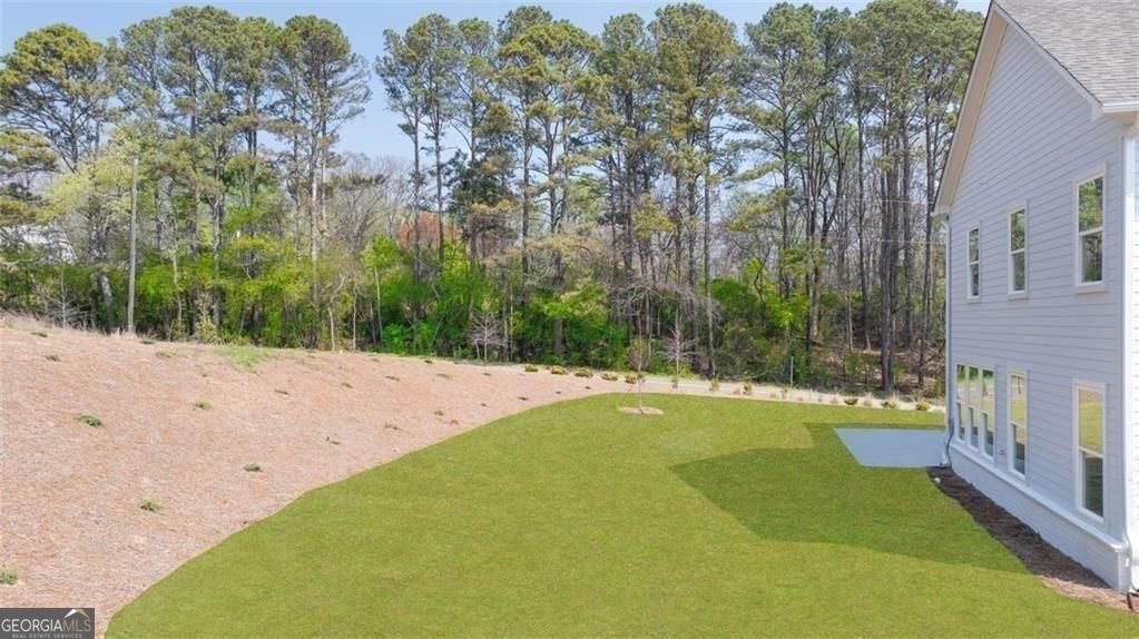 8290 Creekside Overlook Drive Gainesville - Photo 78
