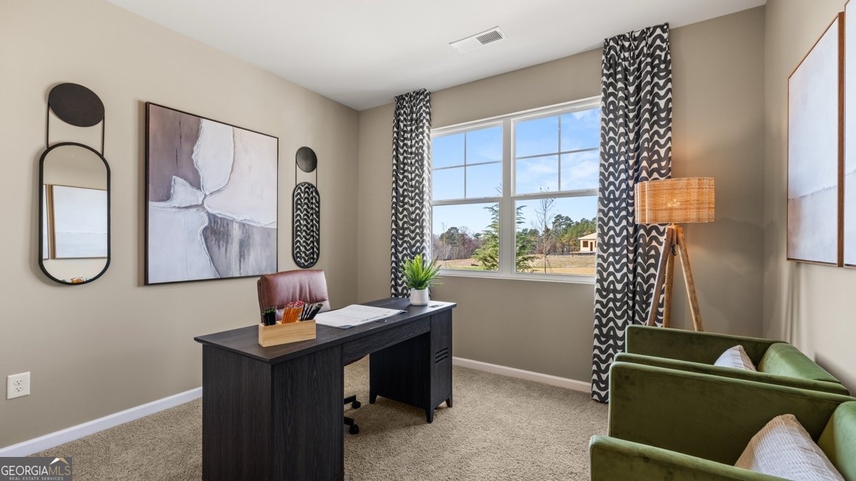 170 White Spruce Way Newnan - Photo 27