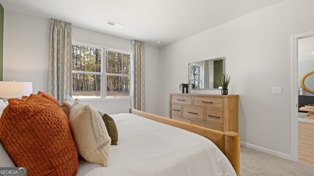 170 White Spruce Way Newnan - Photo 35