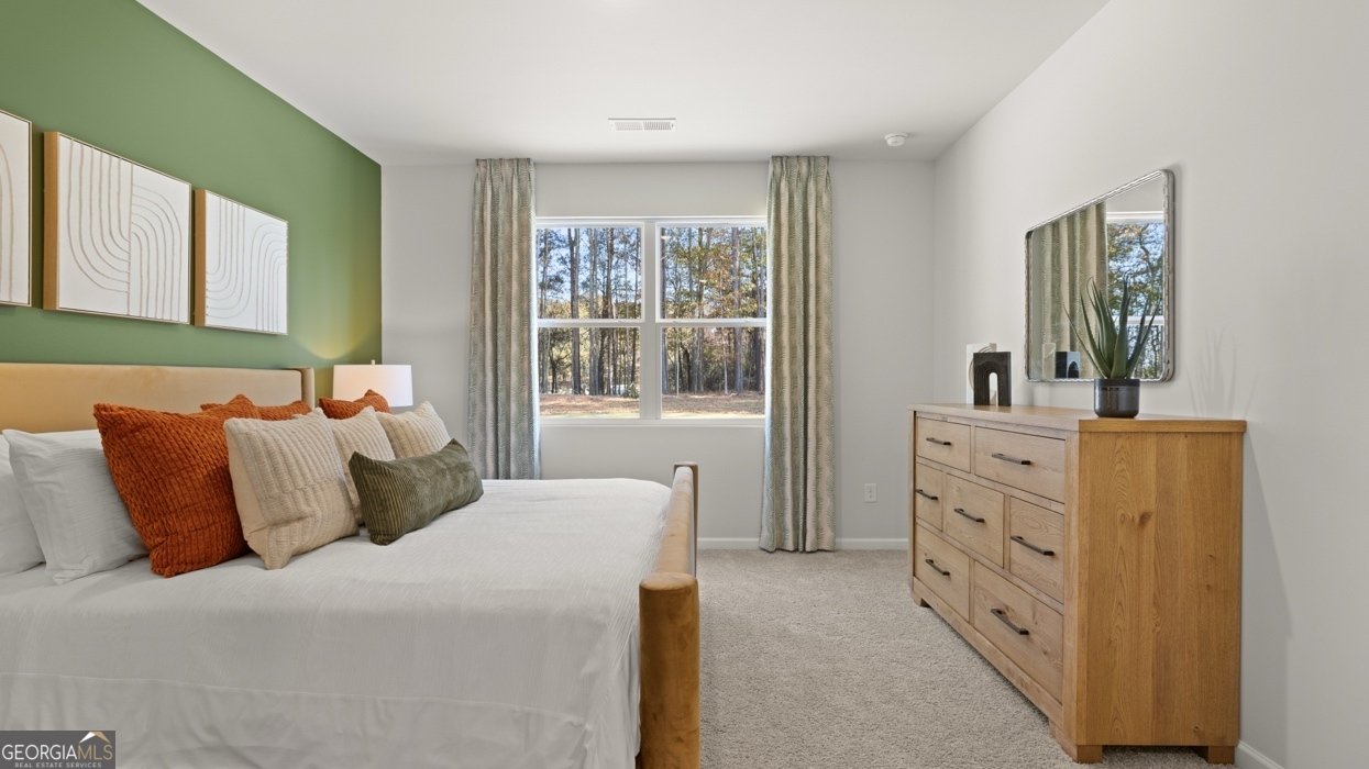 170 White Spruce Way Newnan - Photo 36