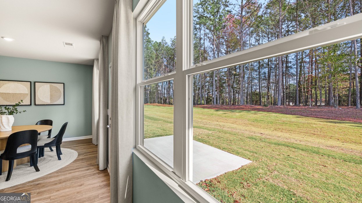 170 White Spruce Way Newnan - Photo 41