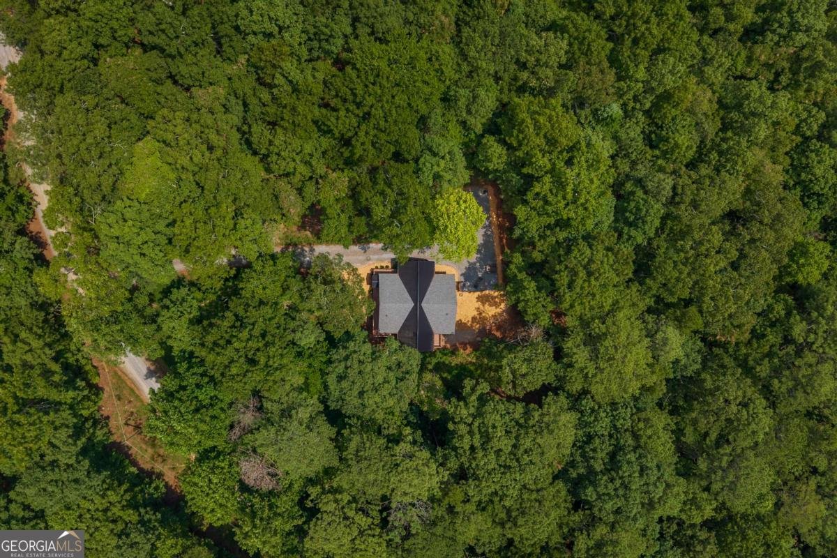 154 Nexus Court Ellijay - Photo 15