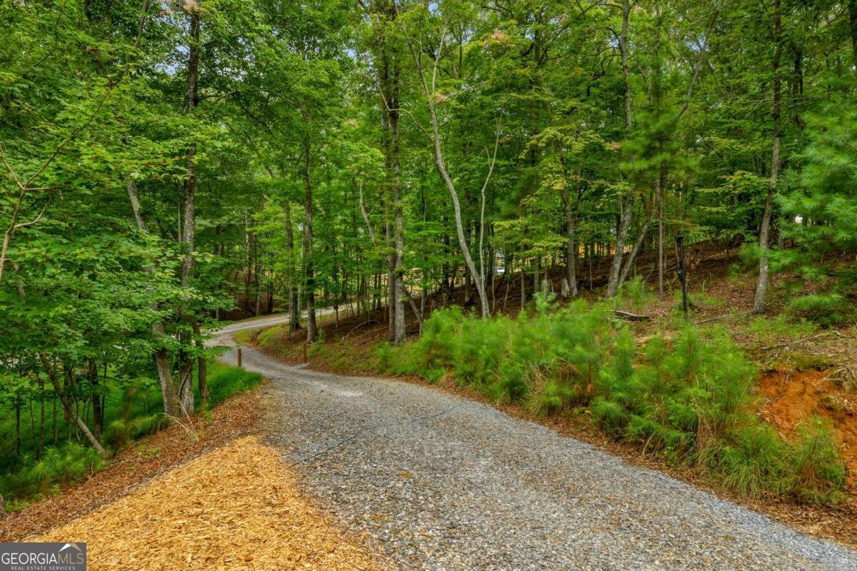 154 Nexus Court Ellijay - Photo 9