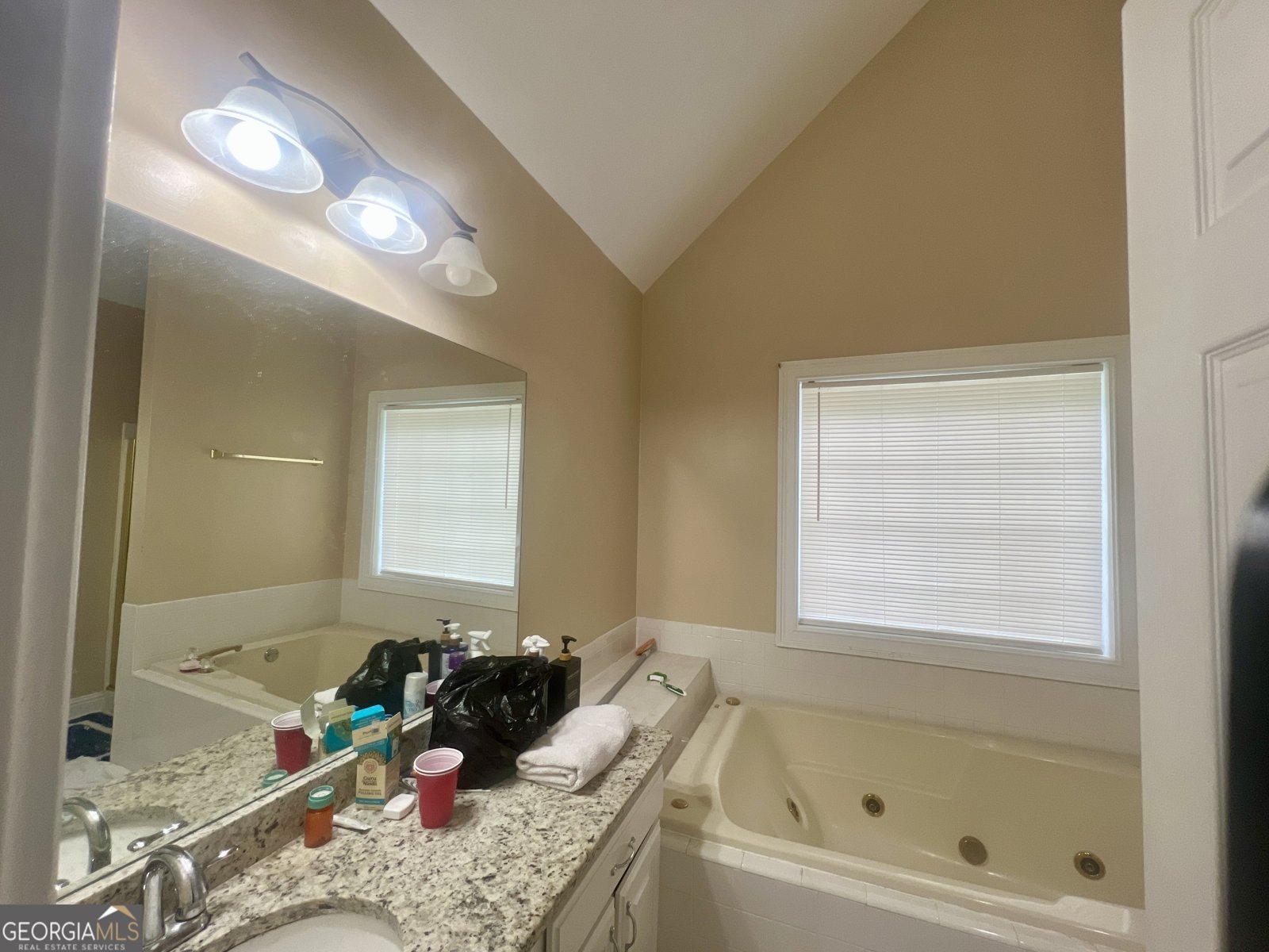 140 Little Creek Drive Sharpsburg - Photo 16