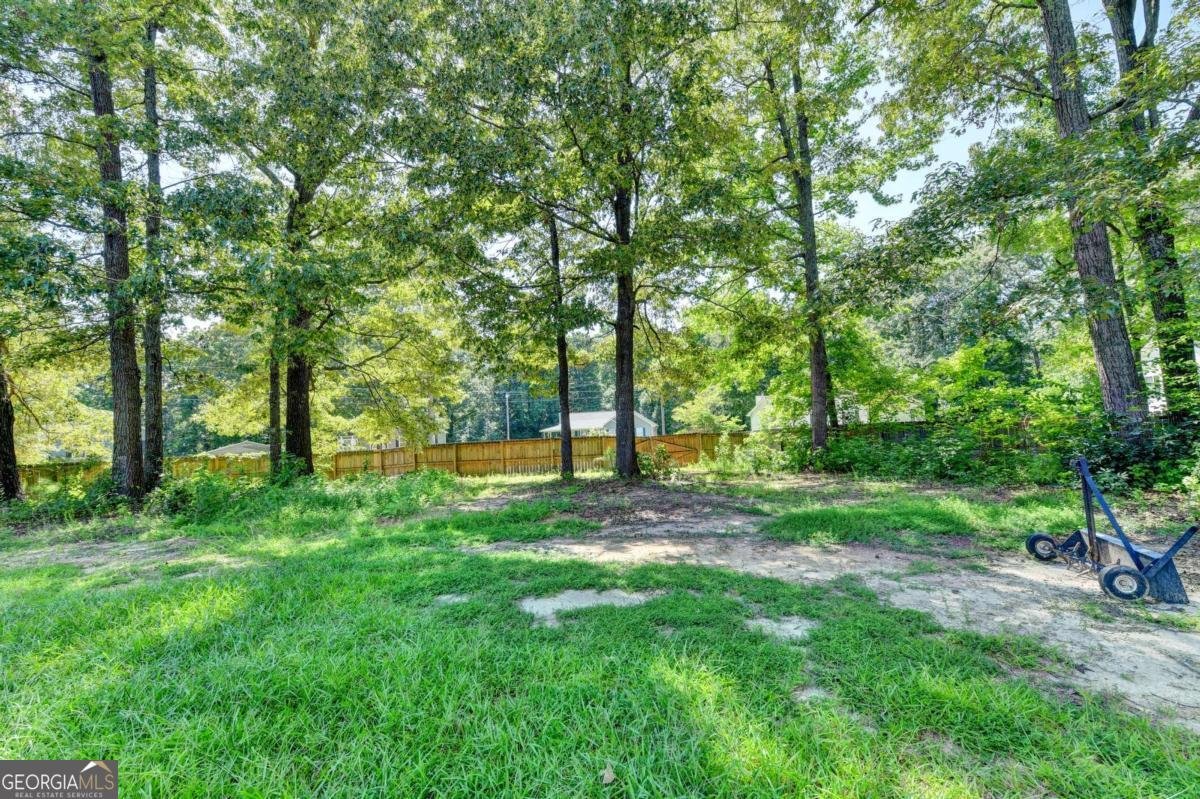 18 Silverthorne Court Douglasville - Photo 41
