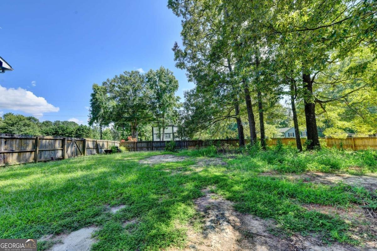18 Silverthorne Court Douglasville - Photo 42