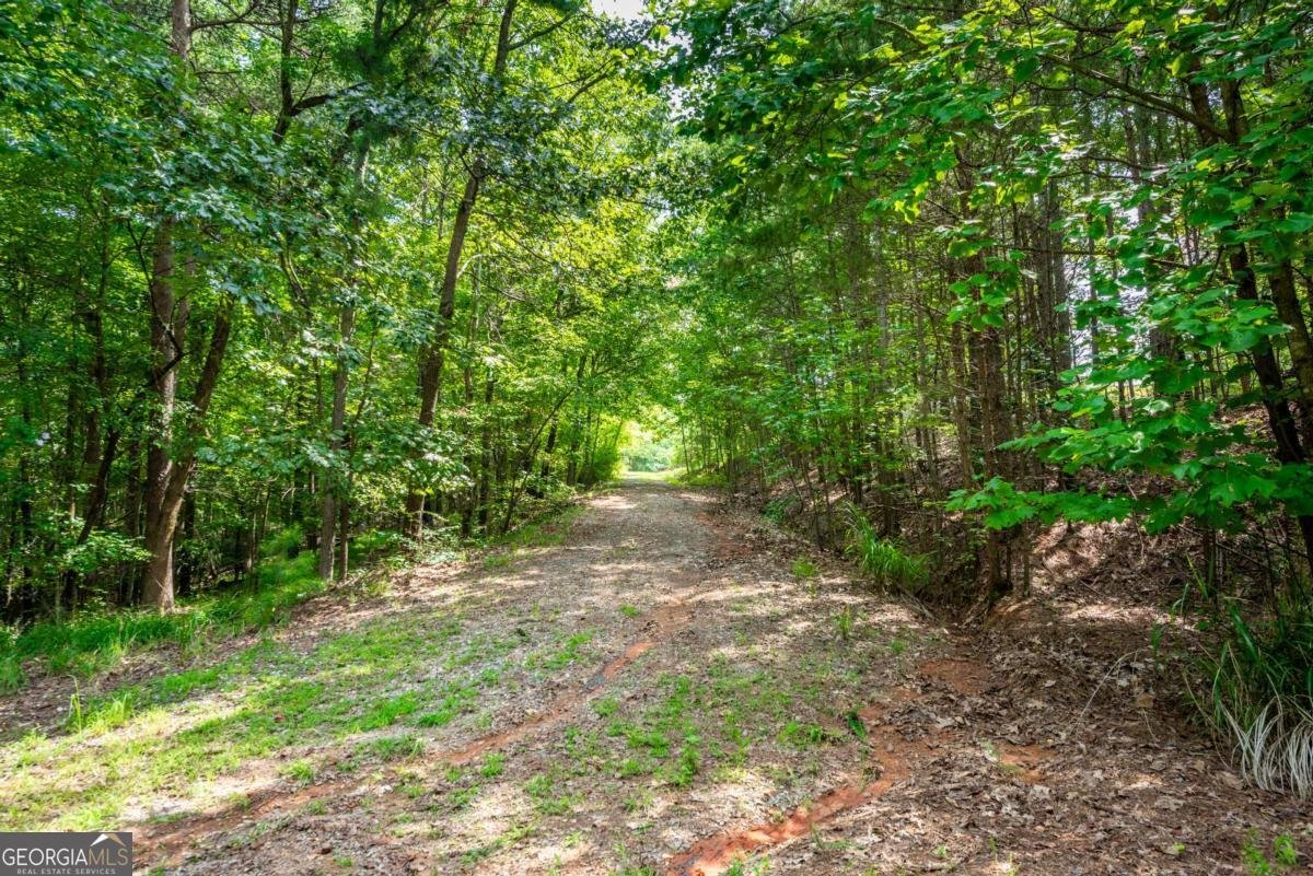 271 Big Sky Lane Jasper - Photo 58