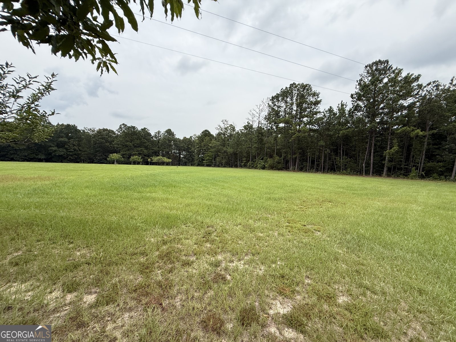2449 H B Dixon Road Sparta - Photo 11