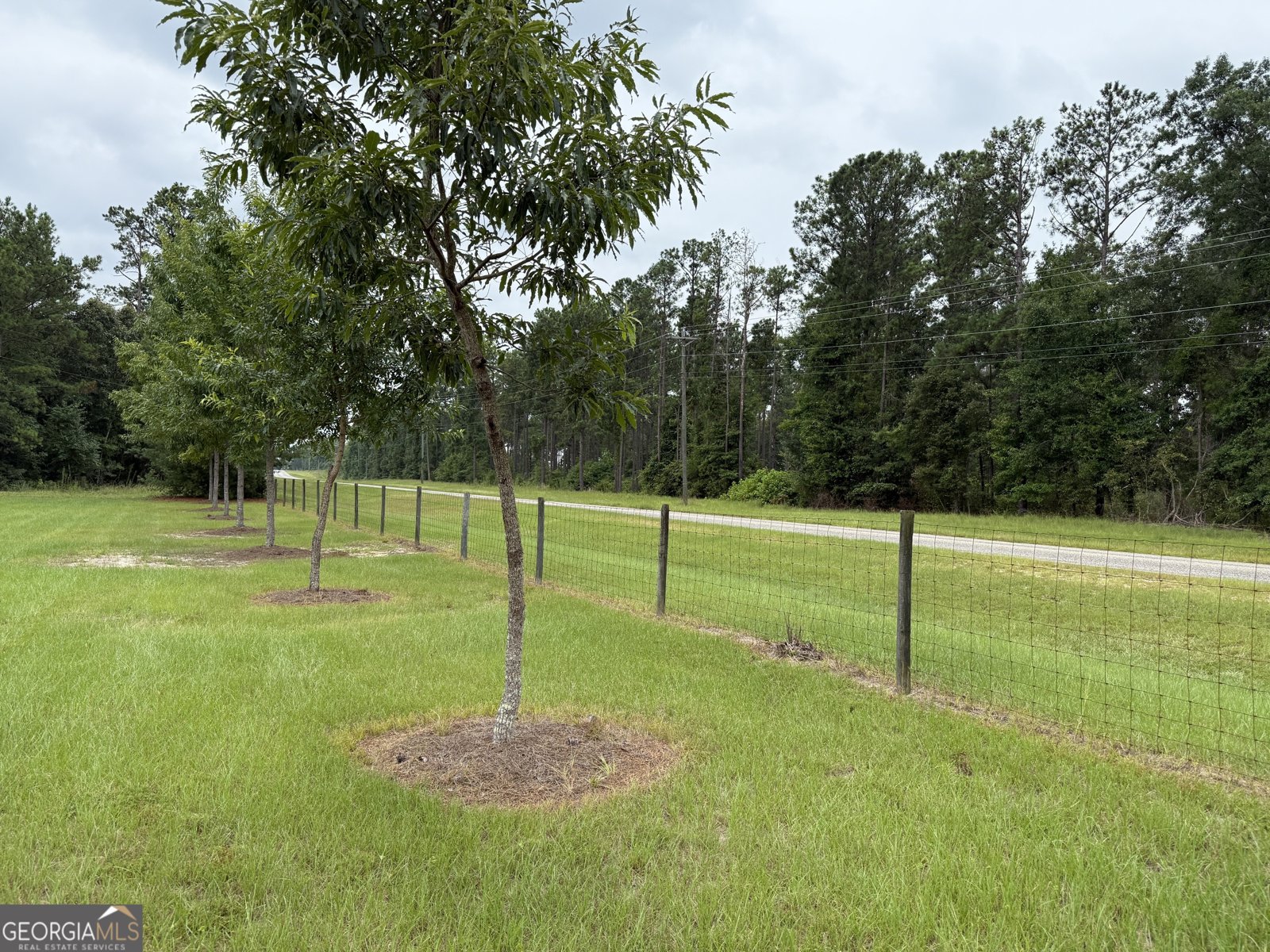 2449 H B Dixon Road Sparta - Photo 13