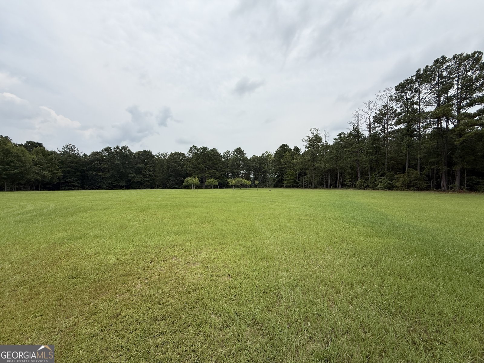 2449 H B Dixon Road Sparta - Photo 23