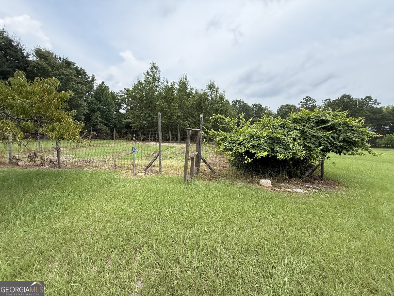2449 H B Dixon Road Sparta - Photo 54