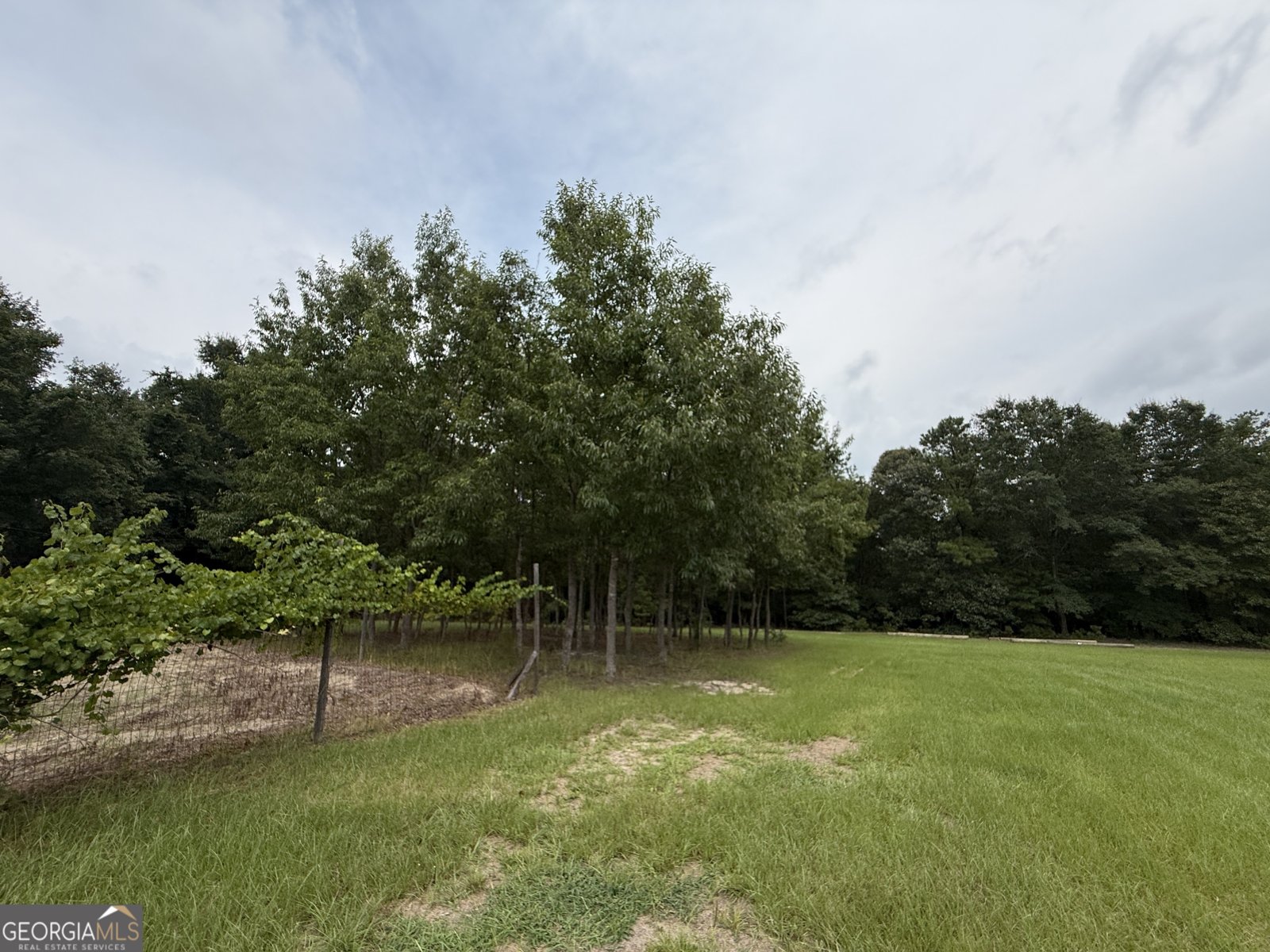 2449 H B Dixon Road Sparta - Photo 64